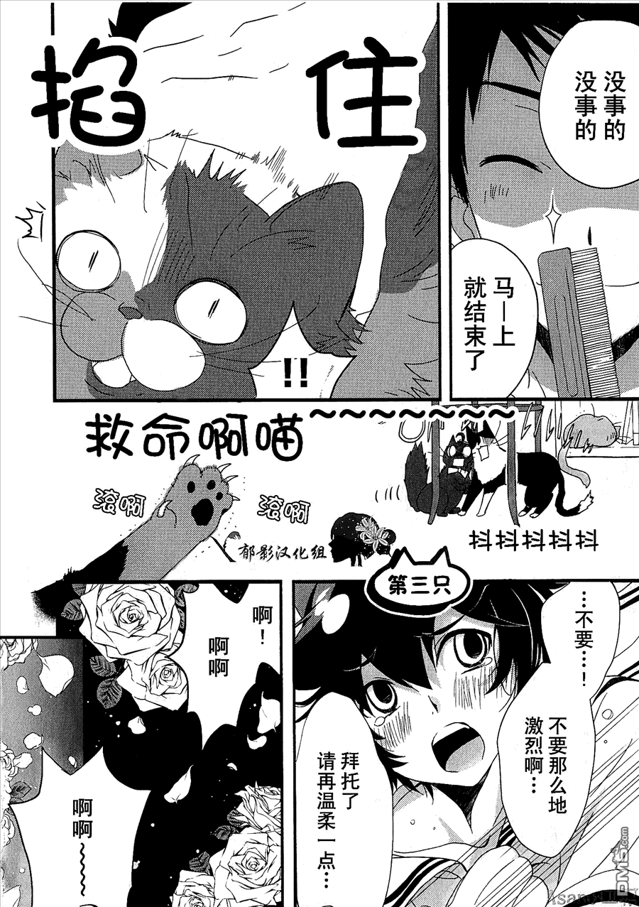 纯吃茶猫 第2话 第6页