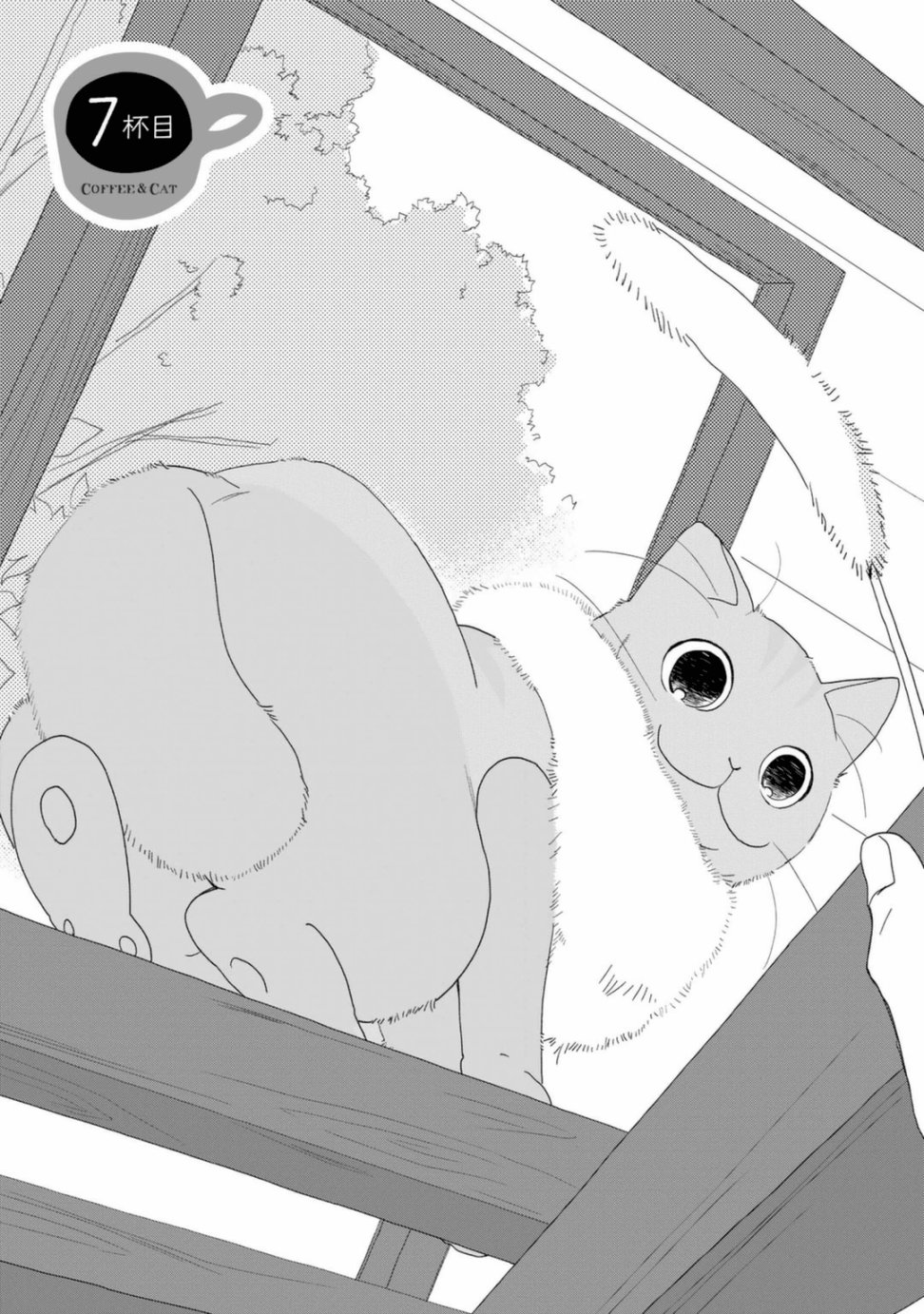 纯吃茶猫 第7话 第4页