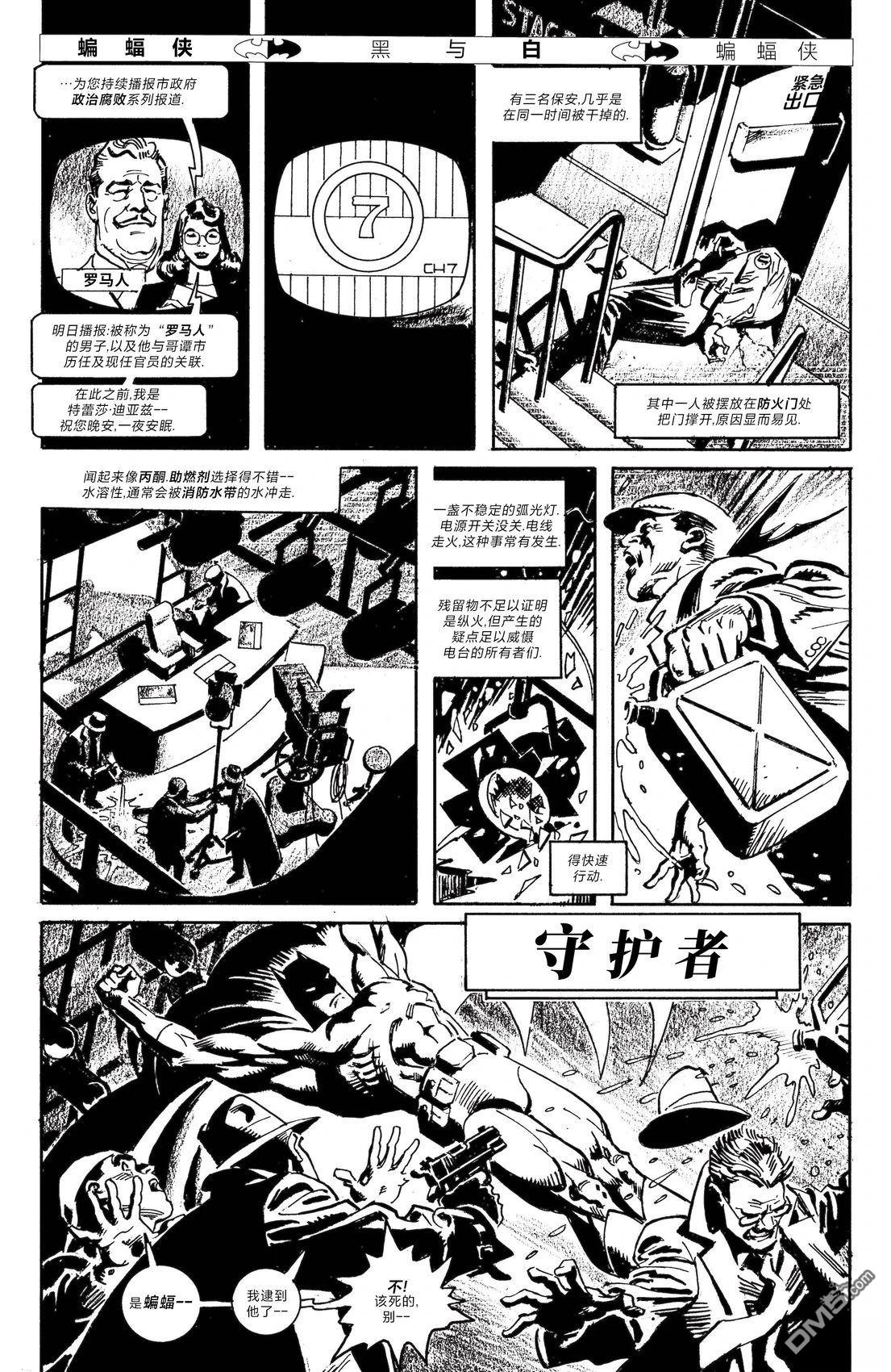 蝙蝠侠：黑与白 [番外] 短篇：守护者 第1页