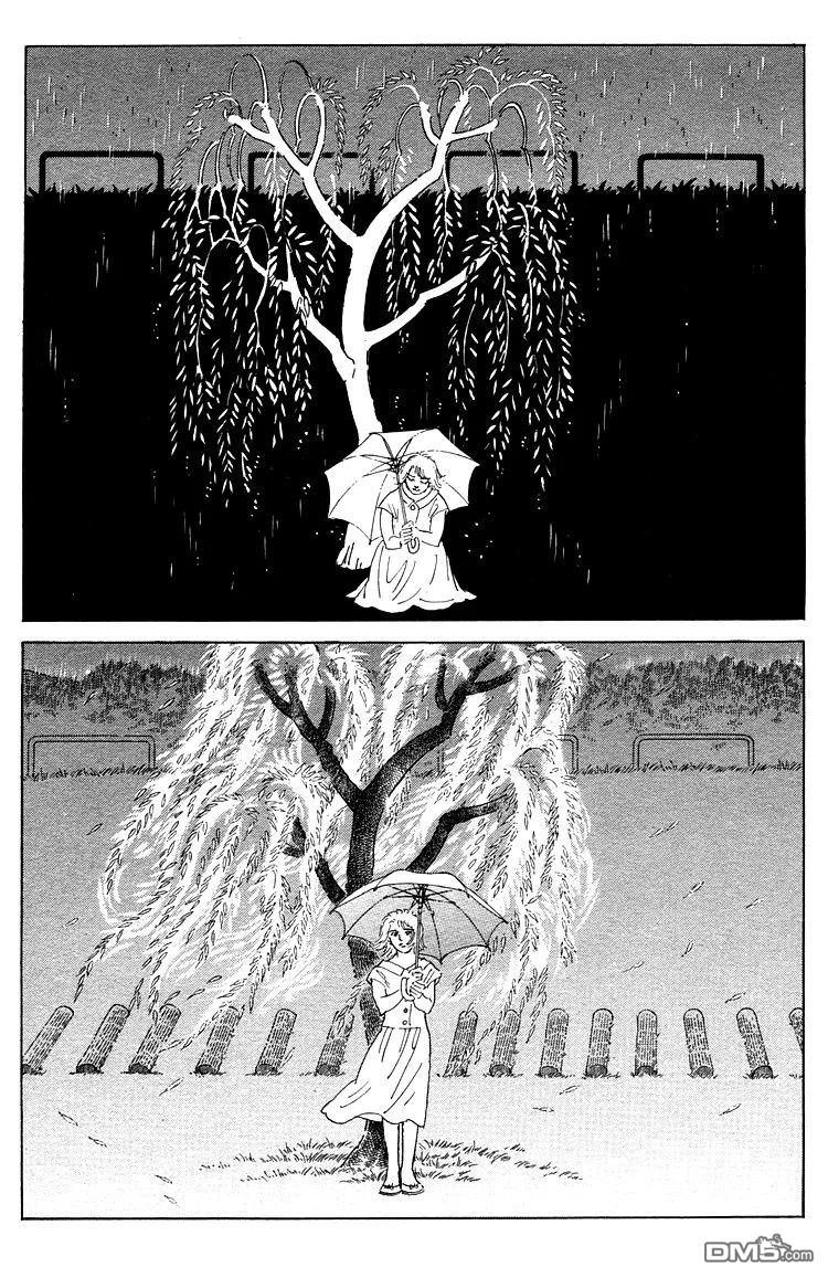 柳树 [番外] 短篇 第13页