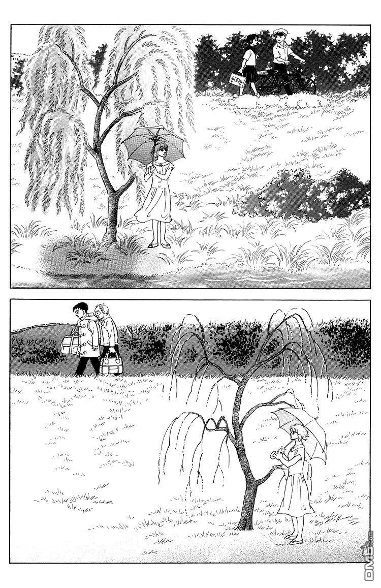 柳树 [番外] 短篇 第7页