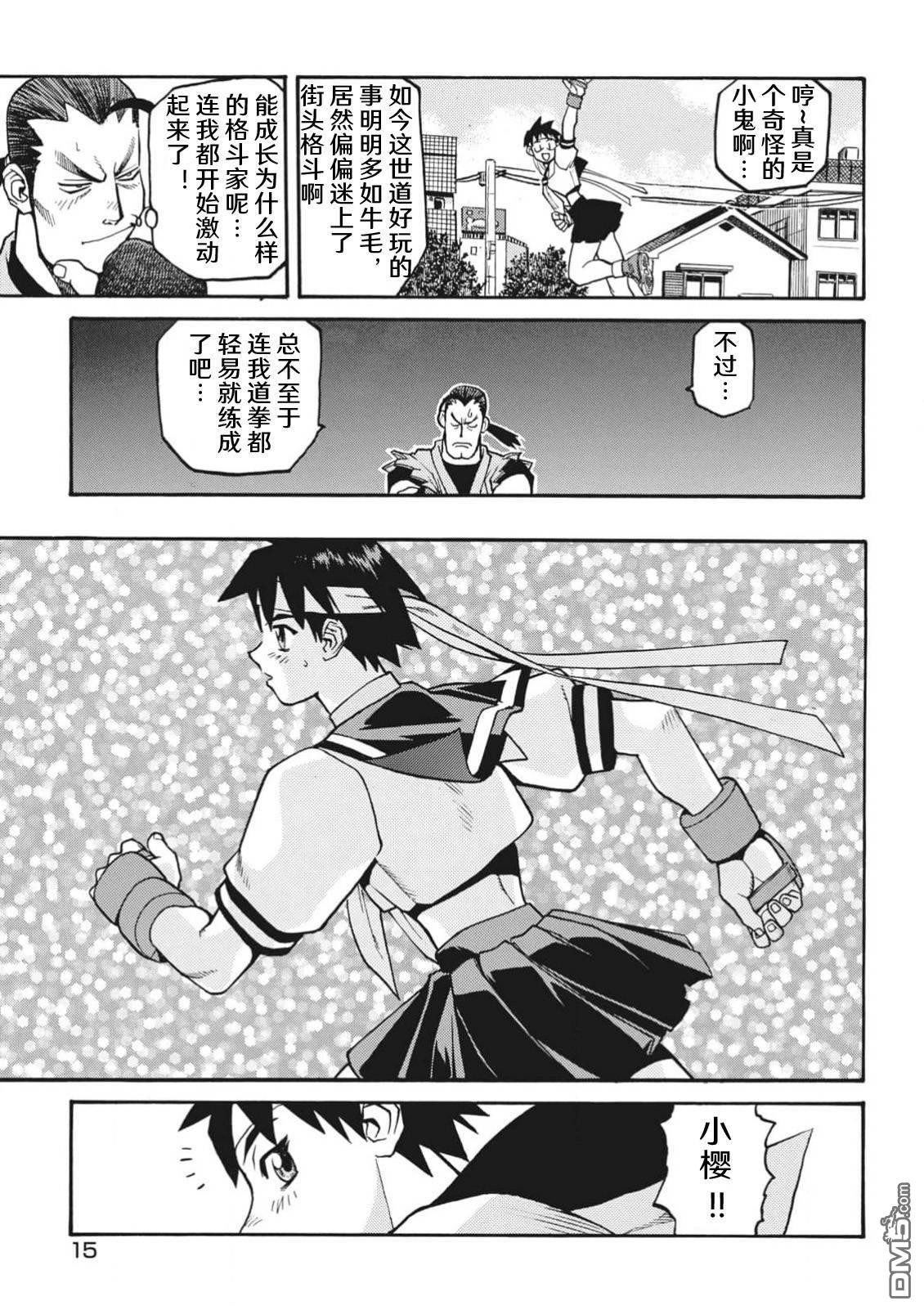 少年街霸ZERO [番外] 格斗少女樱1 第17页