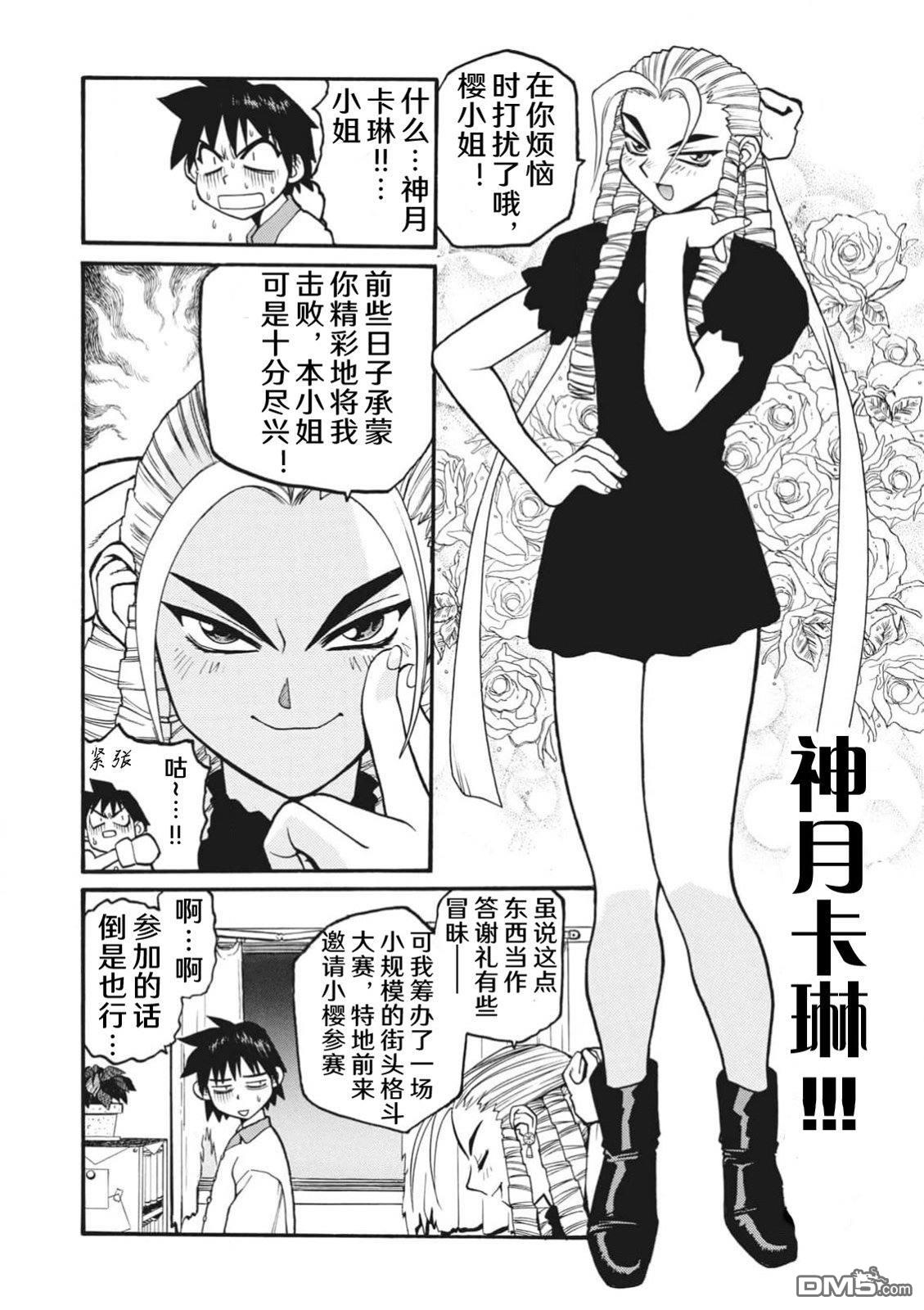 少年街霸ZERO [番外] 格斗少女樱2 第6页