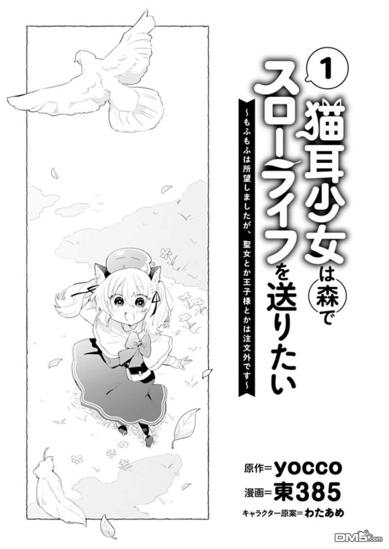猫耳少女想在森林里过上慢生活 ~虽然毛绒绒是我所期待的，但圣女和王子大人是意外~ 第1话 第3页