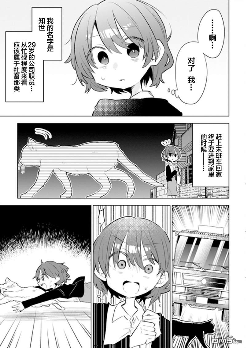 猫耳少女想在森林里过上慢生活 ~虽然毛绒绒是我所期待的，但圣女和王子大人是意外~ 第1话 第8页