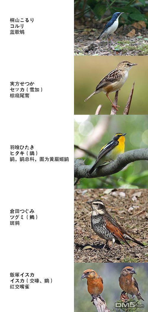 隔壁的手办原型师 [番外] 第1卷加笔 第8页