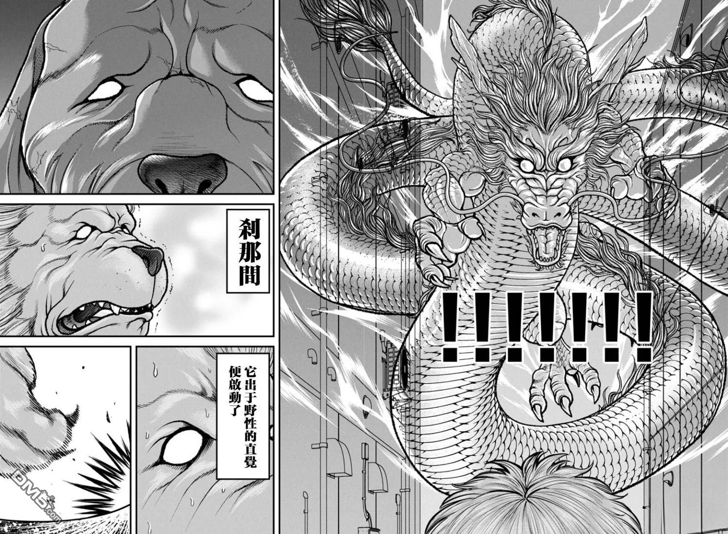 刃牙外传 盖亚与西科尔斯基 ~有时候是野村 虽为二人的三人生活~ 第72话 第13页