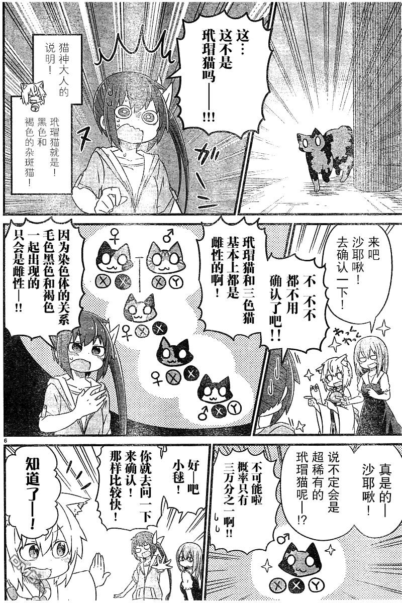 猫神逗猫草！ 第11话 雪酱的预知梦！ 第6页