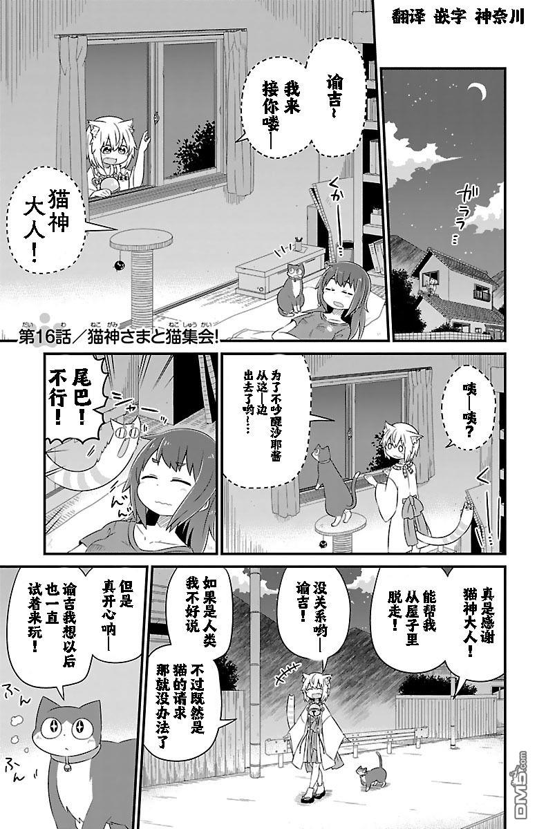 猫神逗猫草！ 第16话 第1页