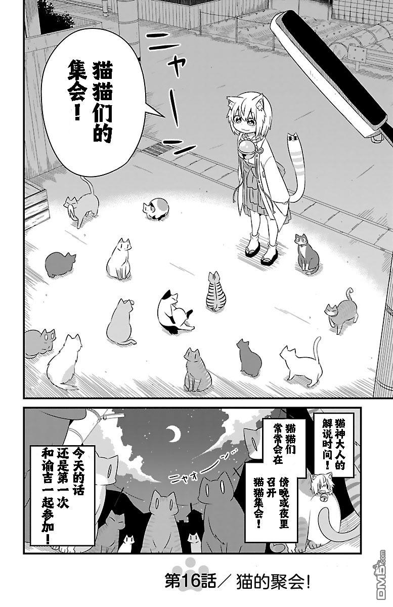 猫神逗猫草！ 第16话 第2页