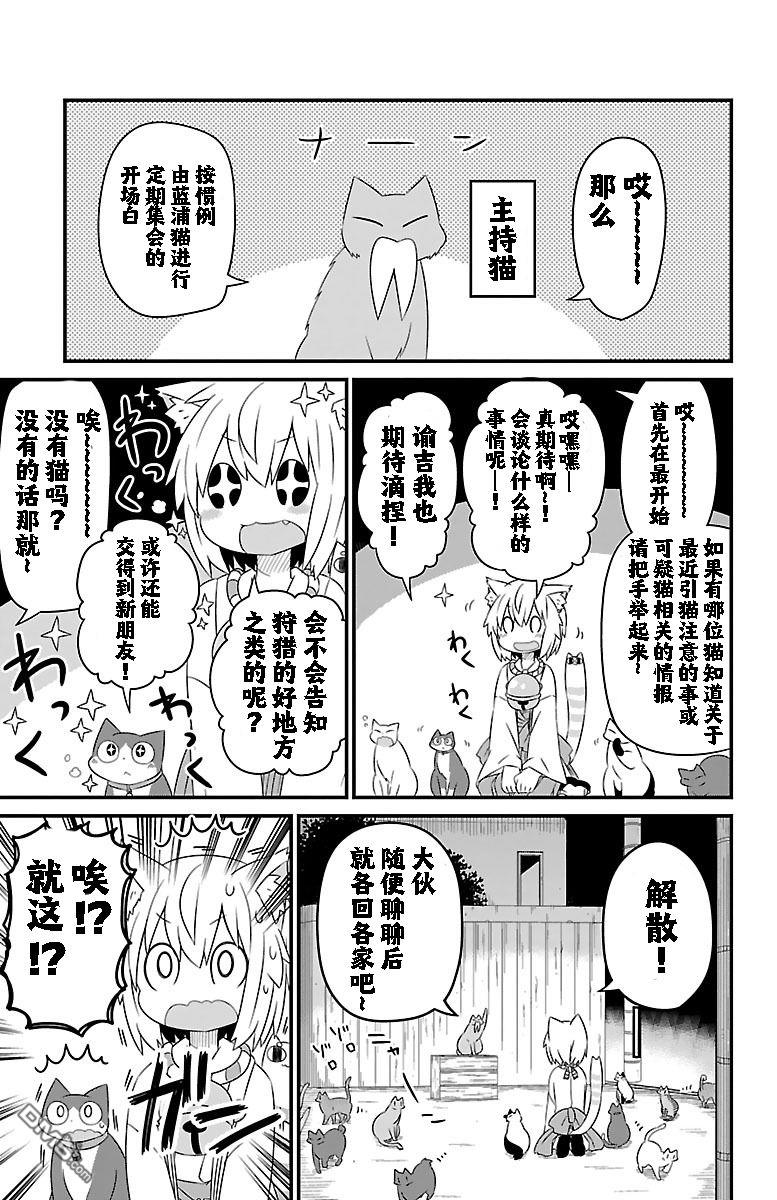 猫神逗猫草！ 第16话 第3页