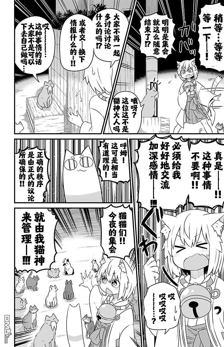 猫神逗猫草！ 第16话 第4页