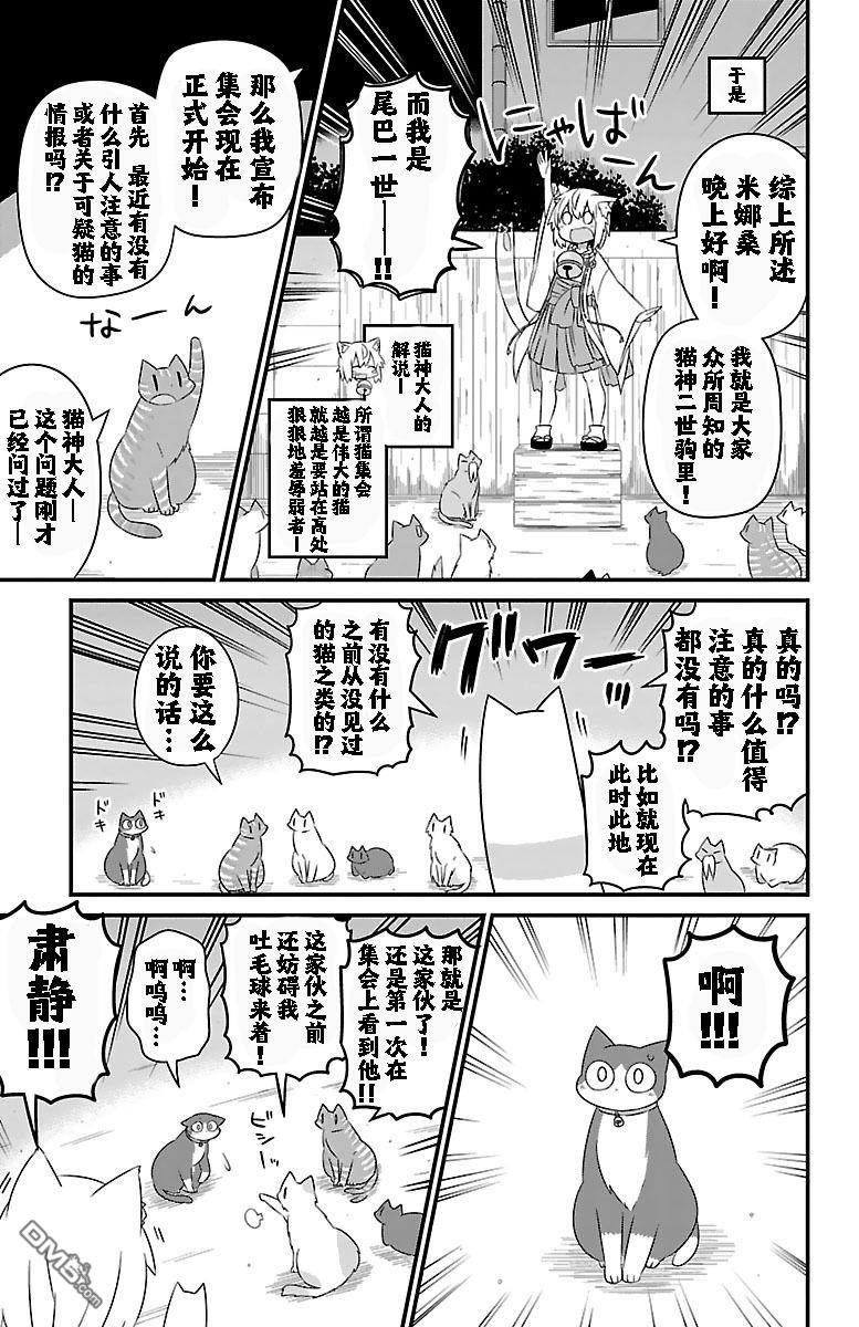 猫神逗猫草！ 第16话 第5页