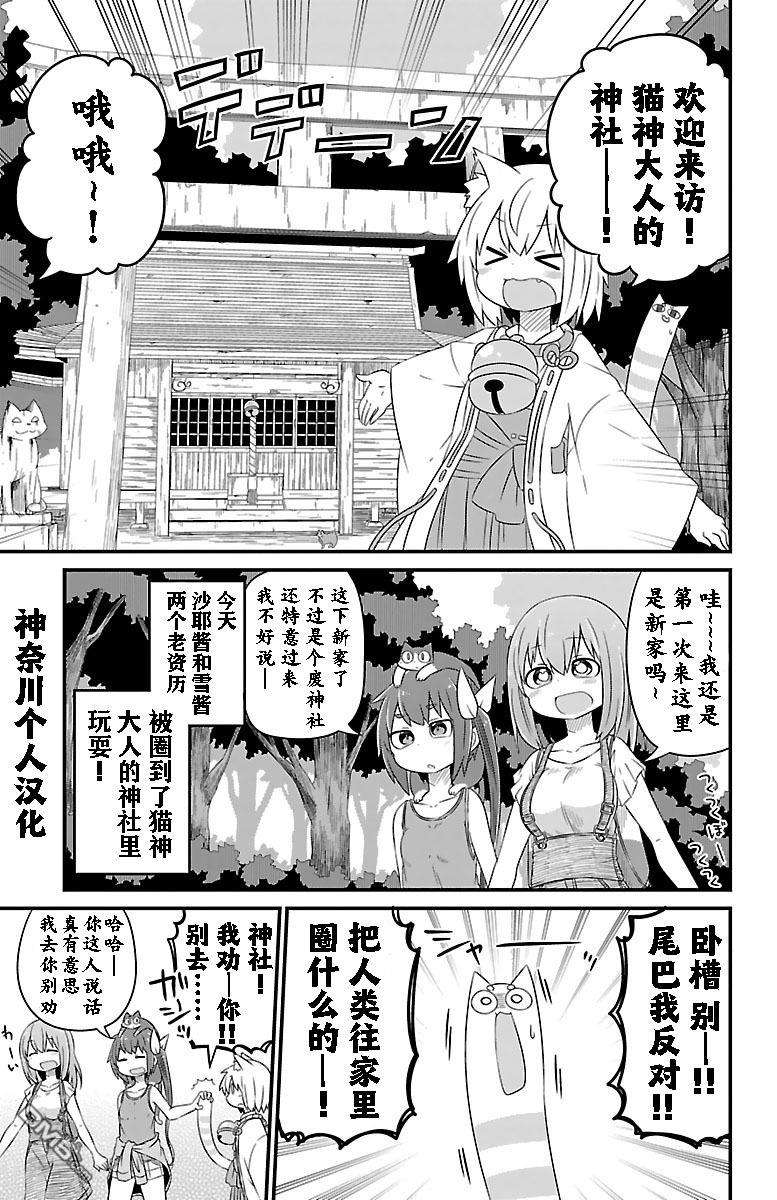 猫神逗猫草！ 第17话 猫神大人的神社 第2页