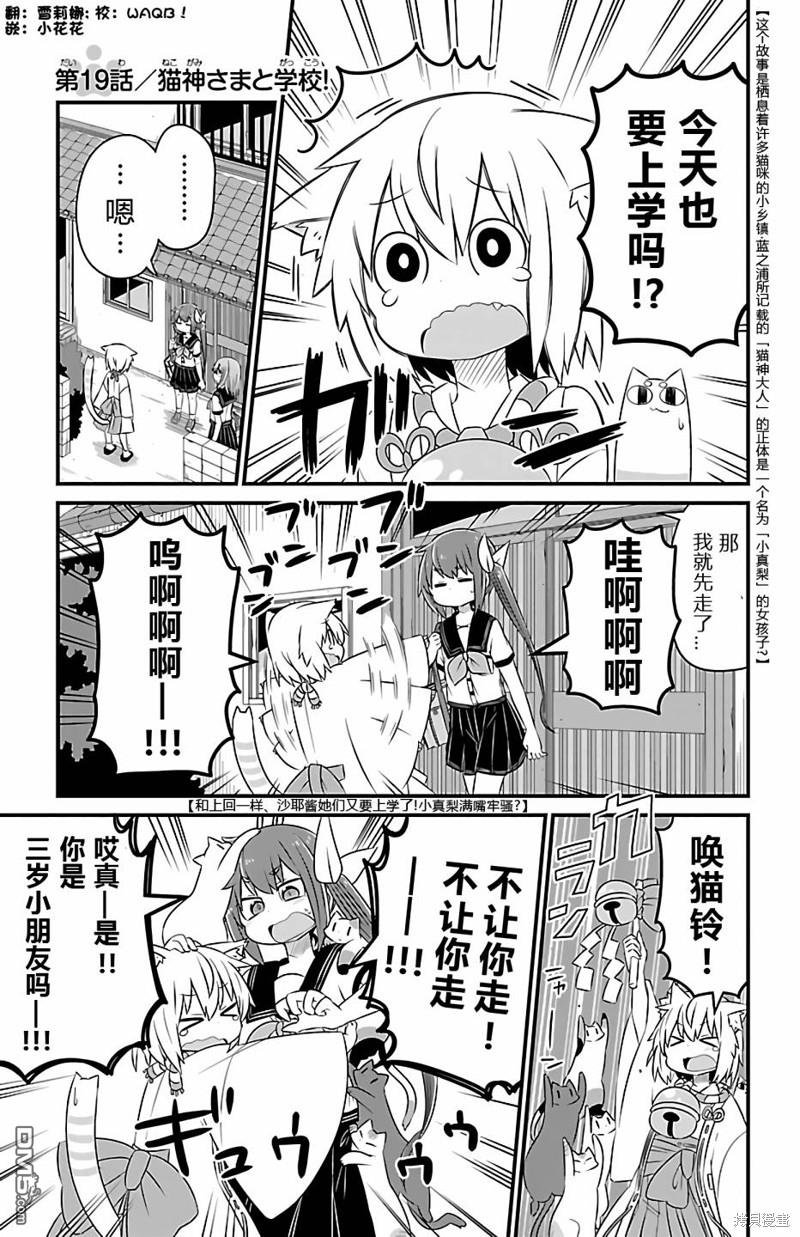 猫神逗猫草！ 第19话 第1页
