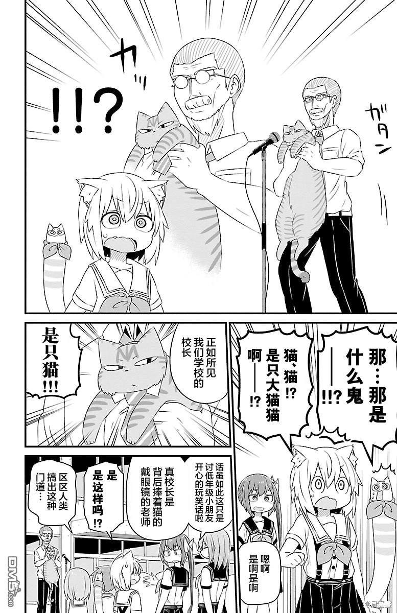猫神逗猫草！ 第22话 第6页