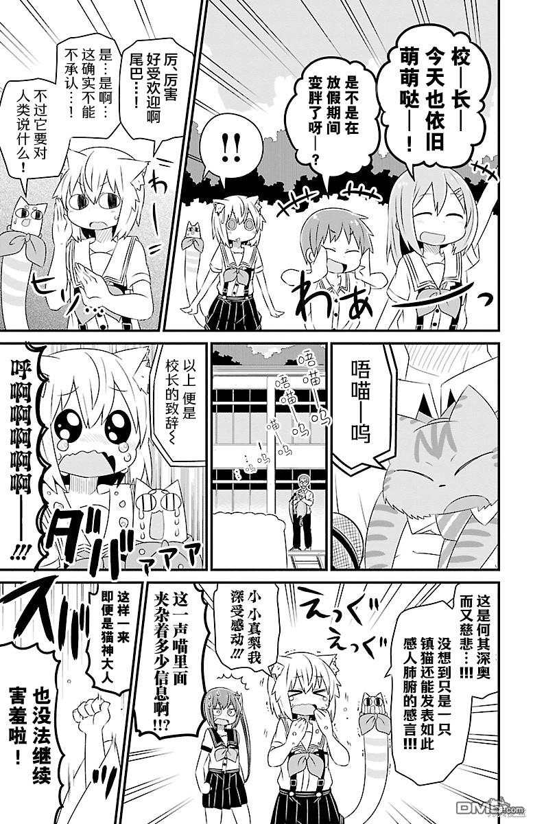 猫神逗猫草！ 第22话 第7页