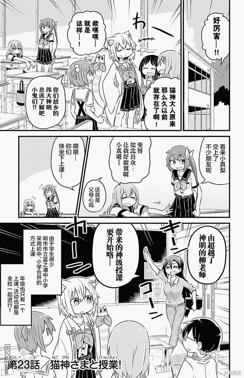猫神逗猫草！ 第23话 第1页