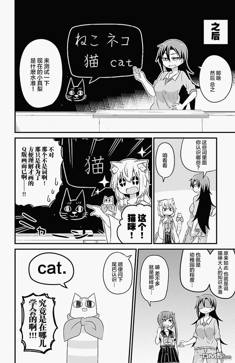 猫神逗猫草！ 第23话 第4页