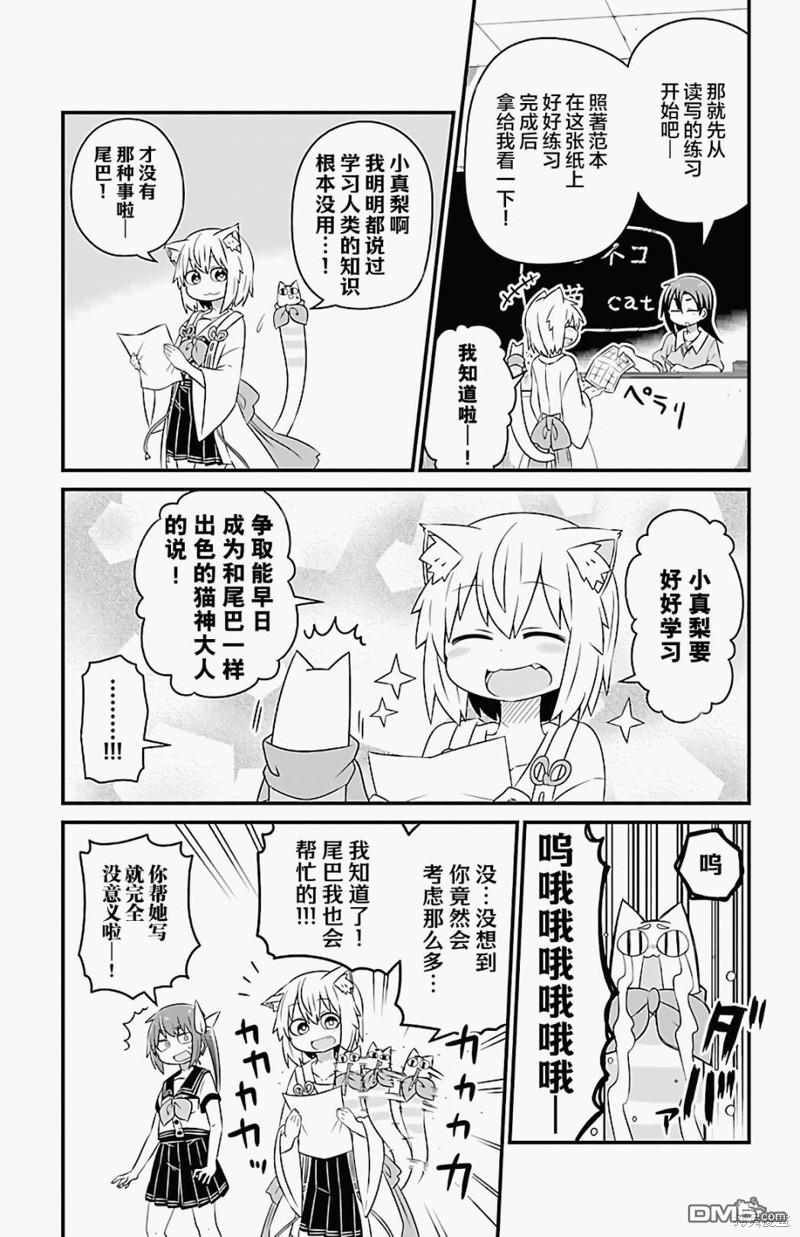 猫神逗猫草！ 第23话 第5页