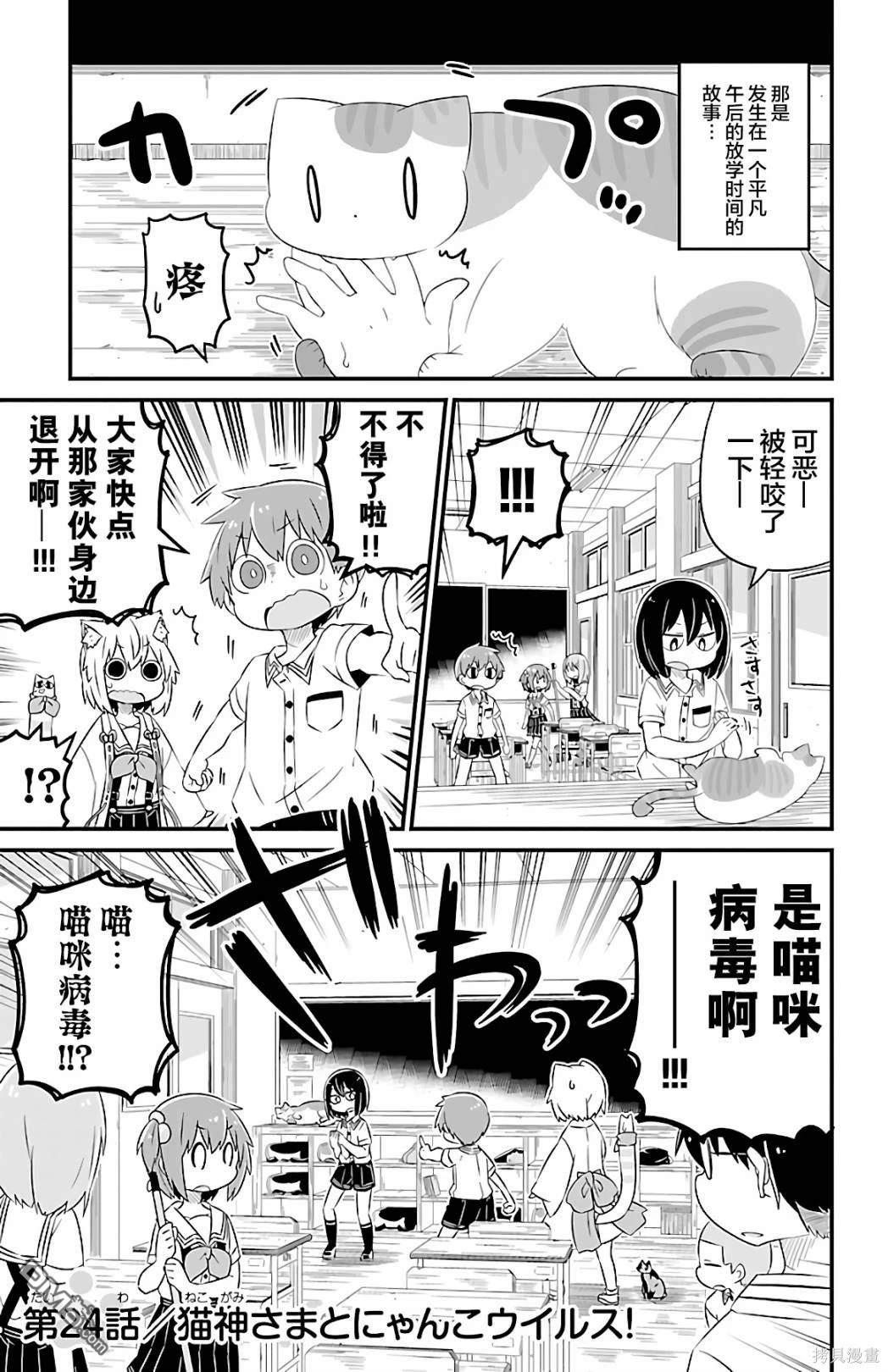 猫神逗猫草！ 第24话 第1页