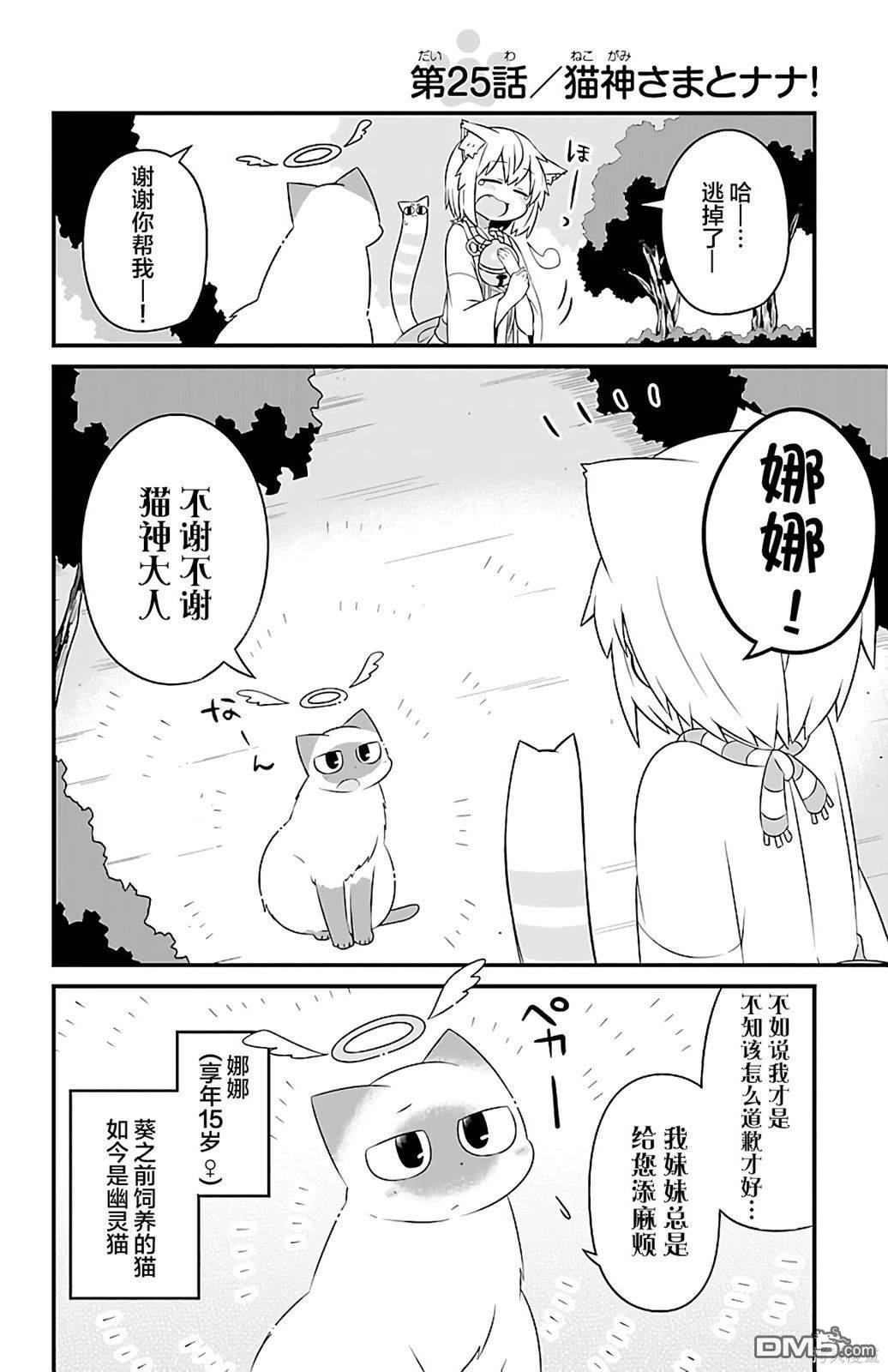 猫神逗猫草！ 第25话 第3页