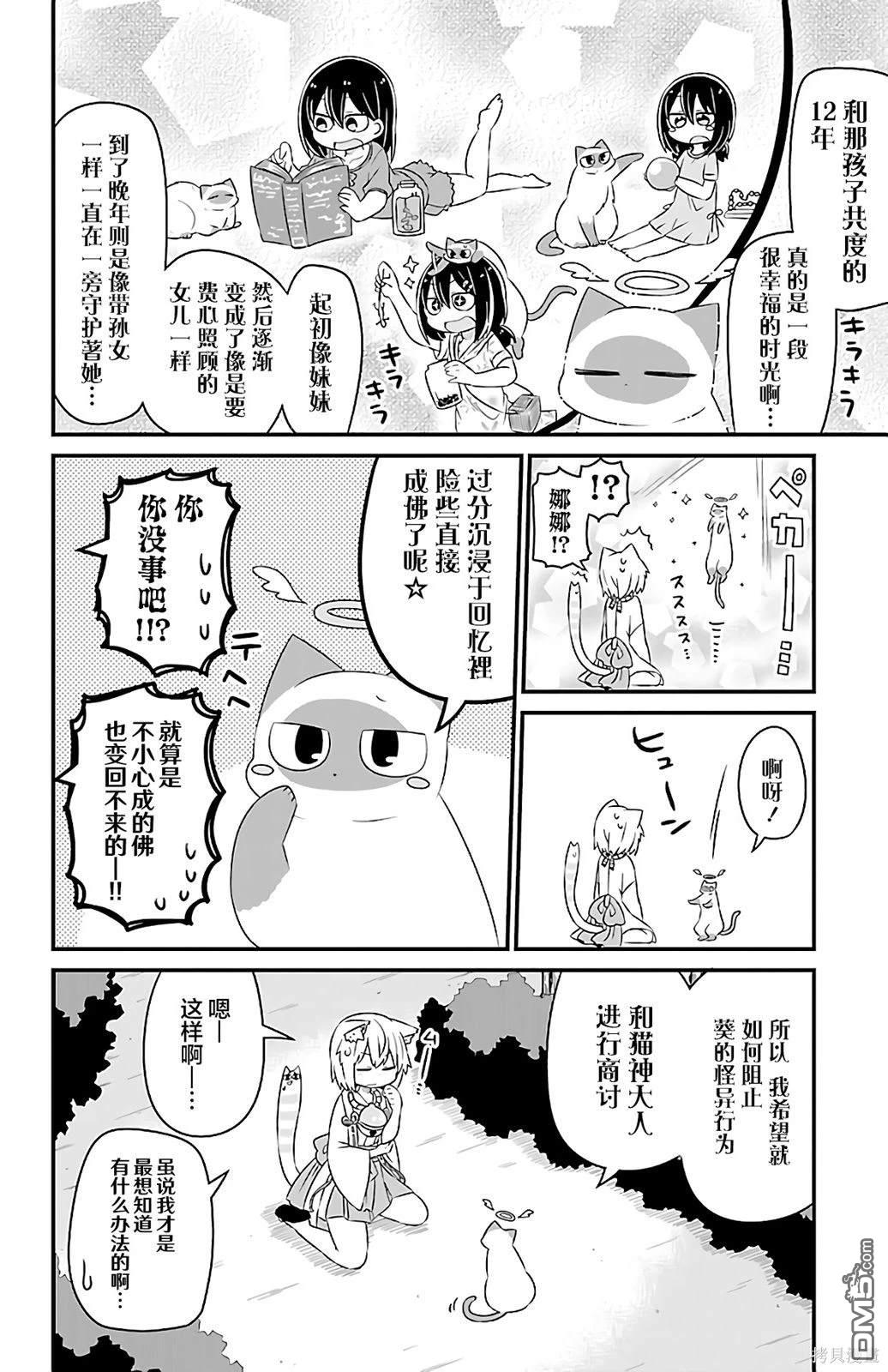 猫神逗猫草！ 第25话 第5页