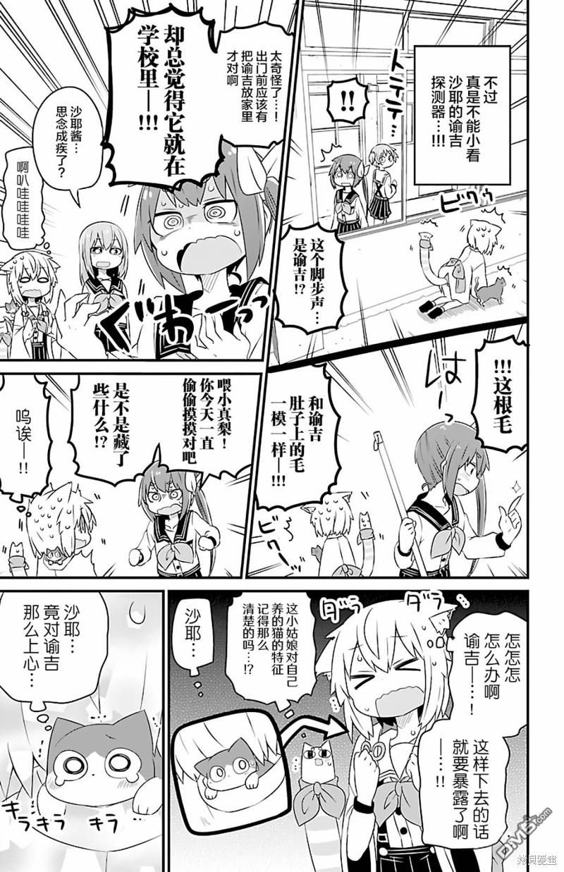 猫神逗猫草！ 第27话 第7页