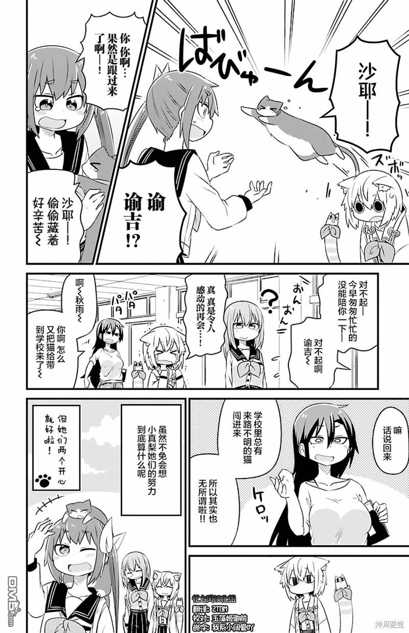 猫神逗猫草！ 第27话 第8页