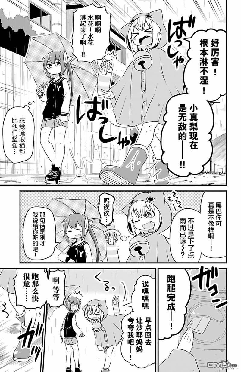 猫神逗猫草！ 第28话 第6页