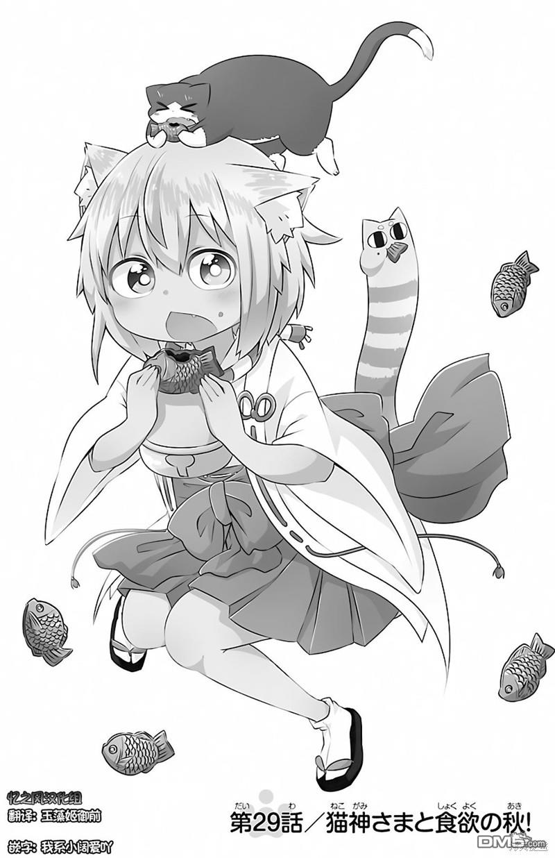 猫神逗猫草！ 第29话 第1页