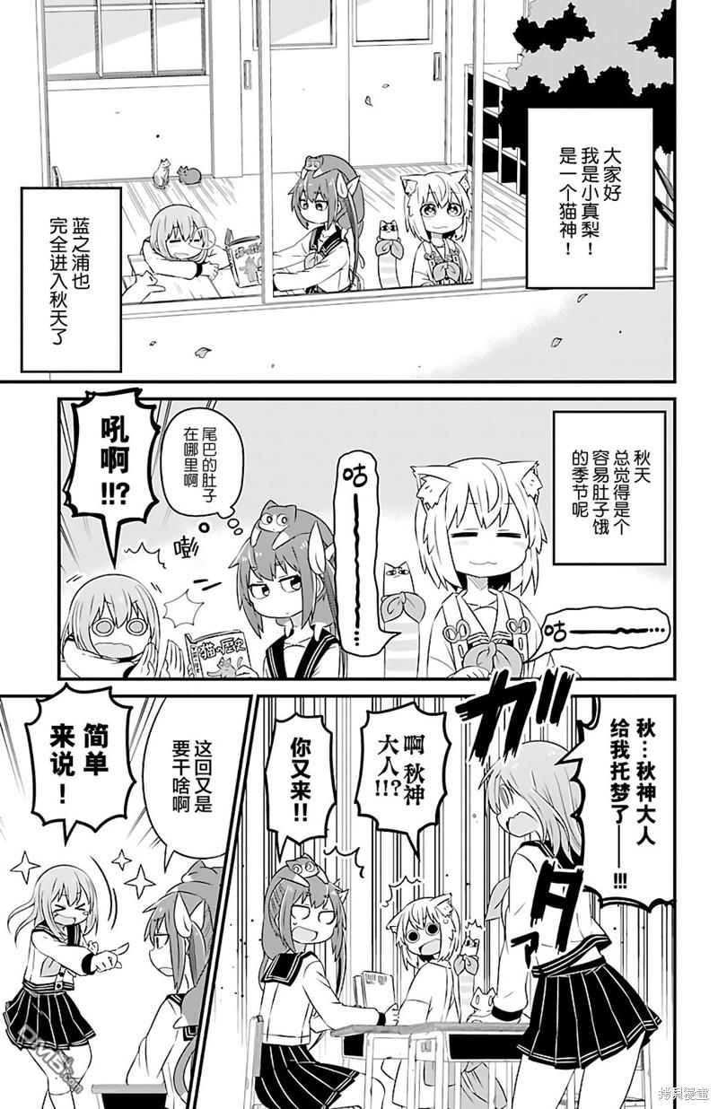 猫神逗猫草！ 第29话 第2页