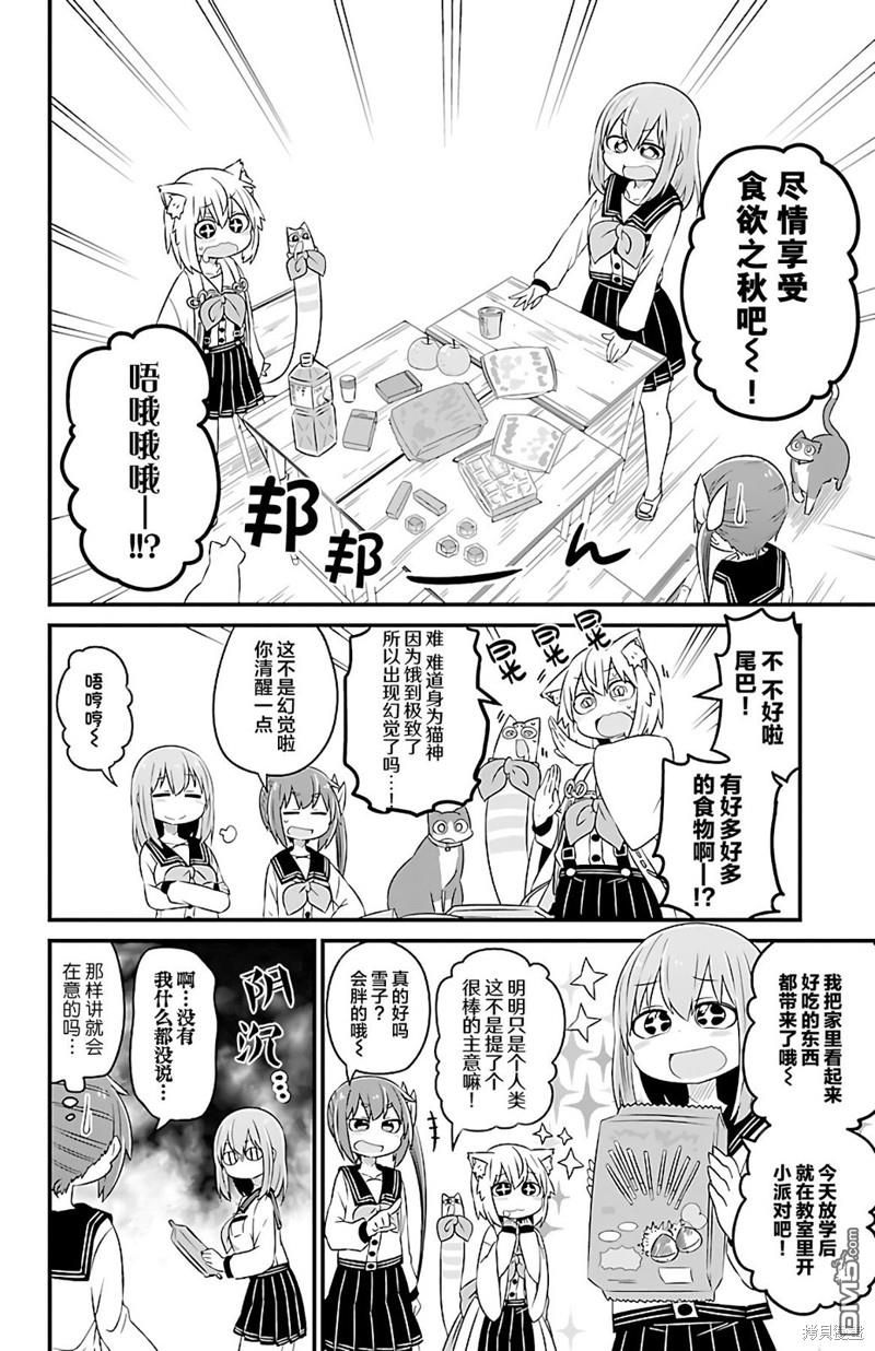 猫神逗猫草！ 第29话 第3页