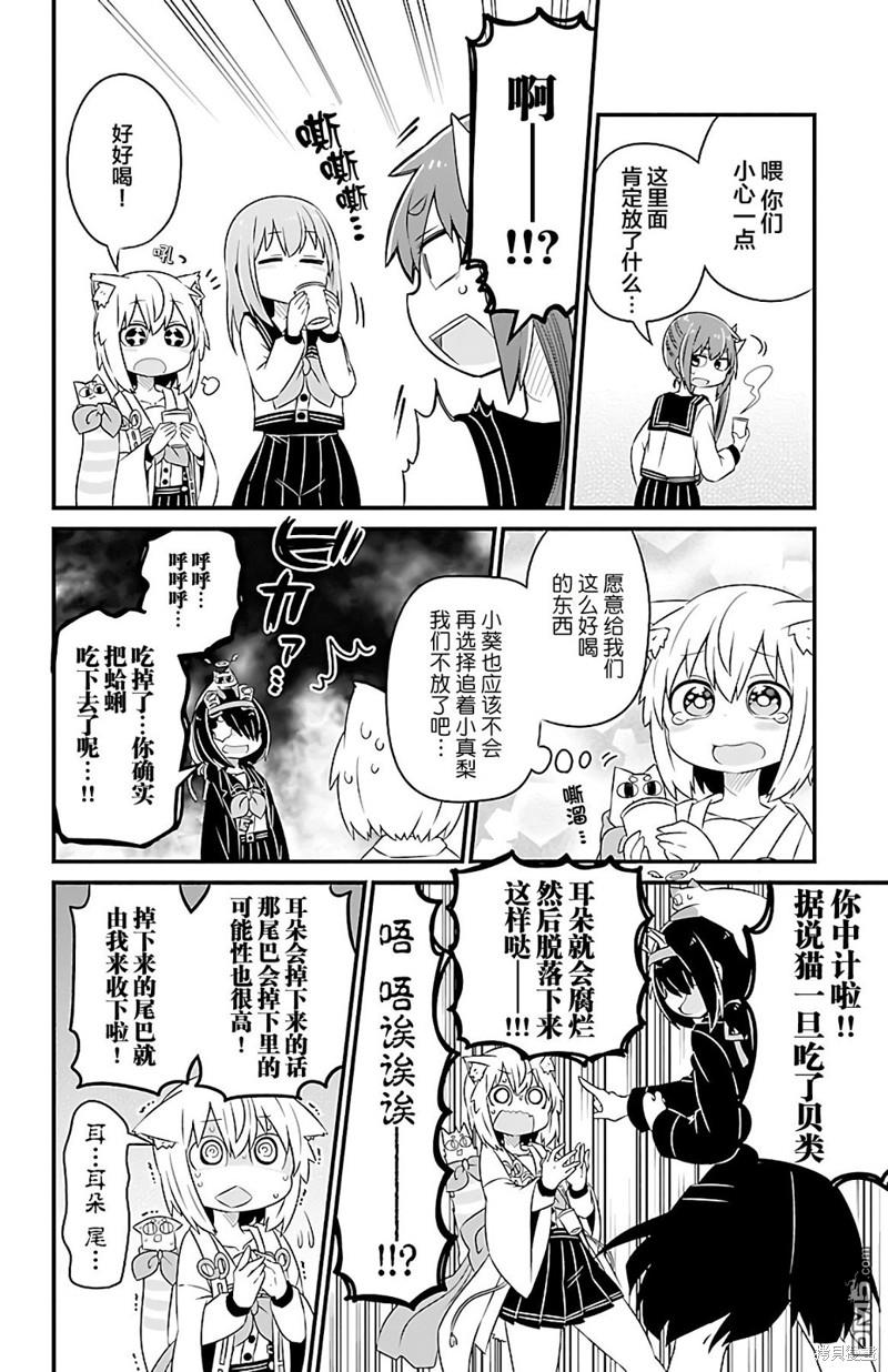猫神逗猫草！ 第29话 第7页