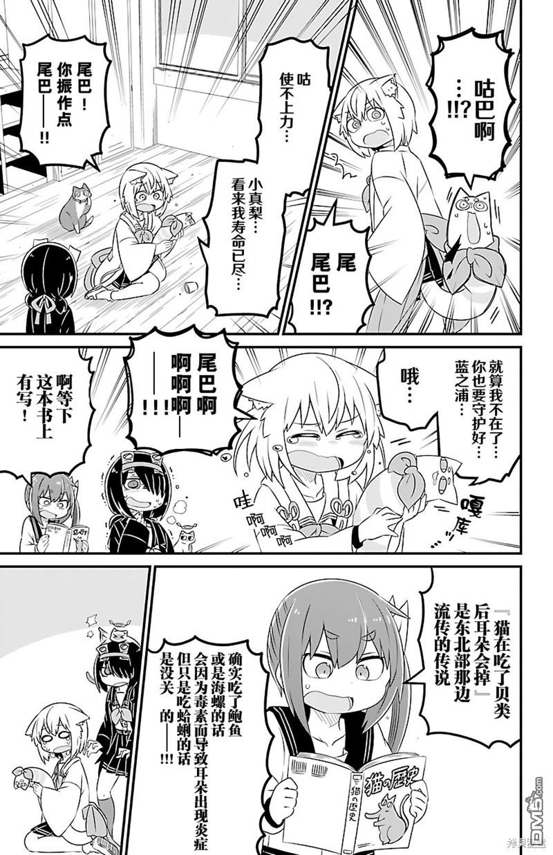 猫神逗猫草！ 第29话 第8页