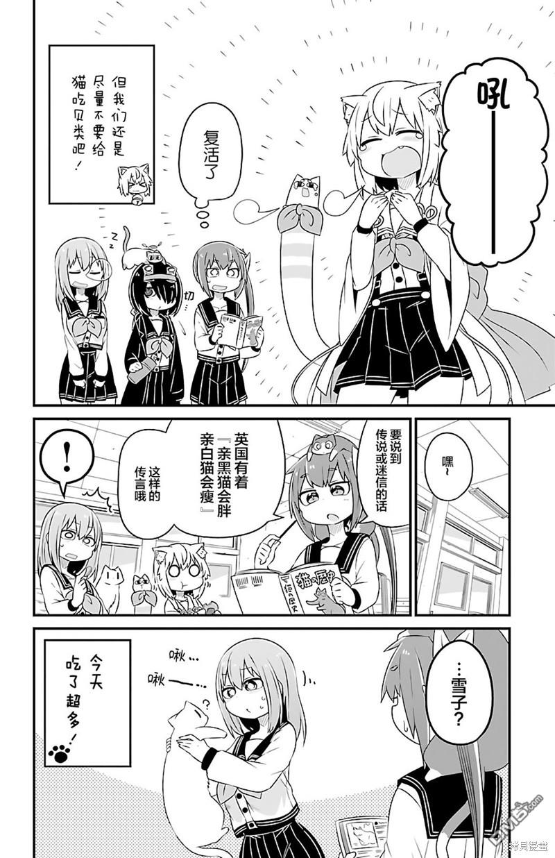 猫神逗猫草！ 第29话 第9页