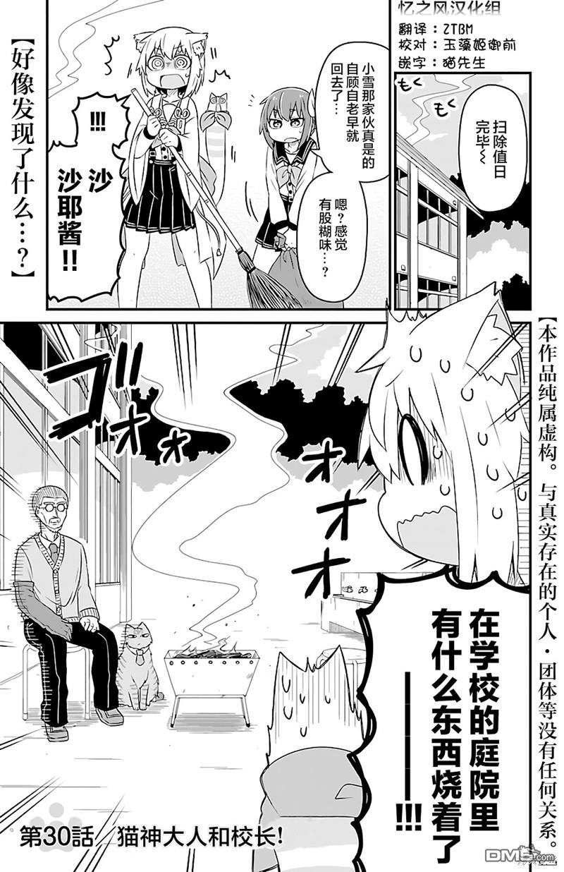 猫神逗猫草！ 第30话 第1页
