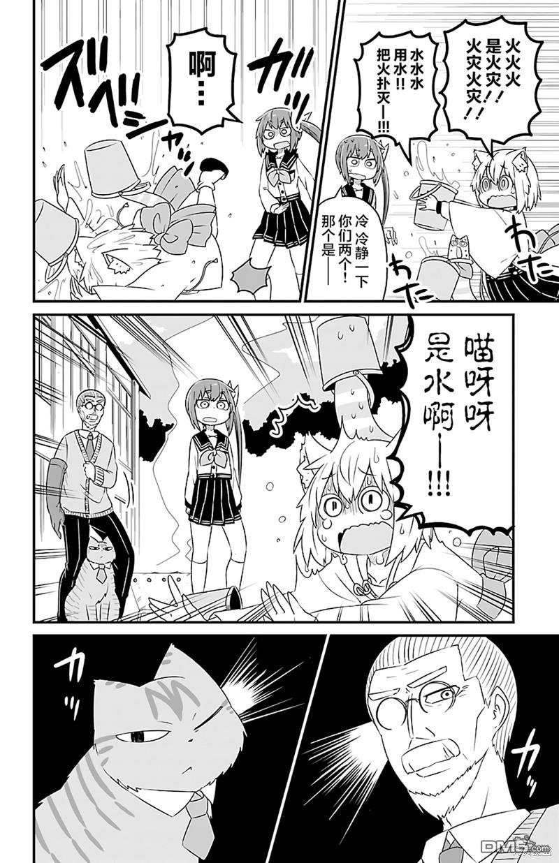 猫神逗猫草！ 第30话 第2页