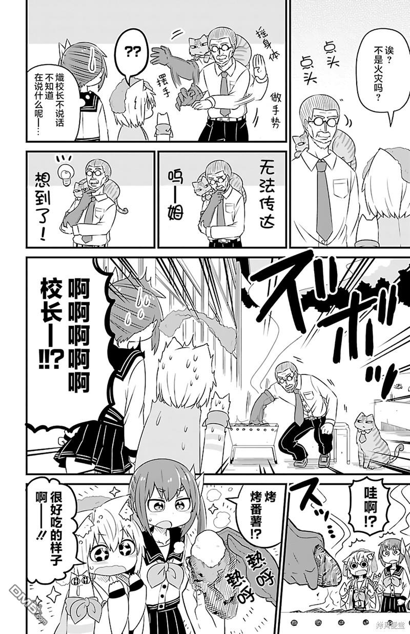 猫神逗猫草！ 第30话 第4页