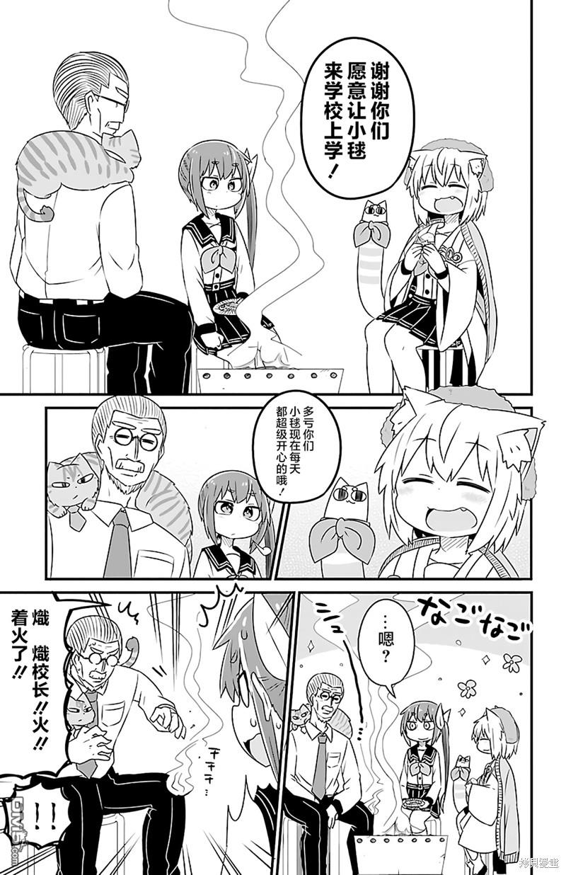 猫神逗猫草！ 第30话 第7页