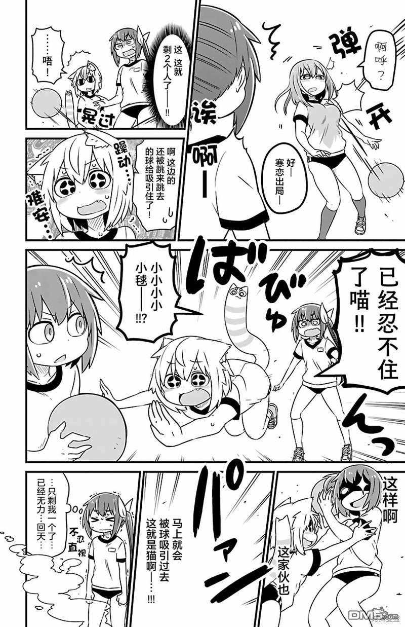 猫神逗猫草！ 第31话 第4页