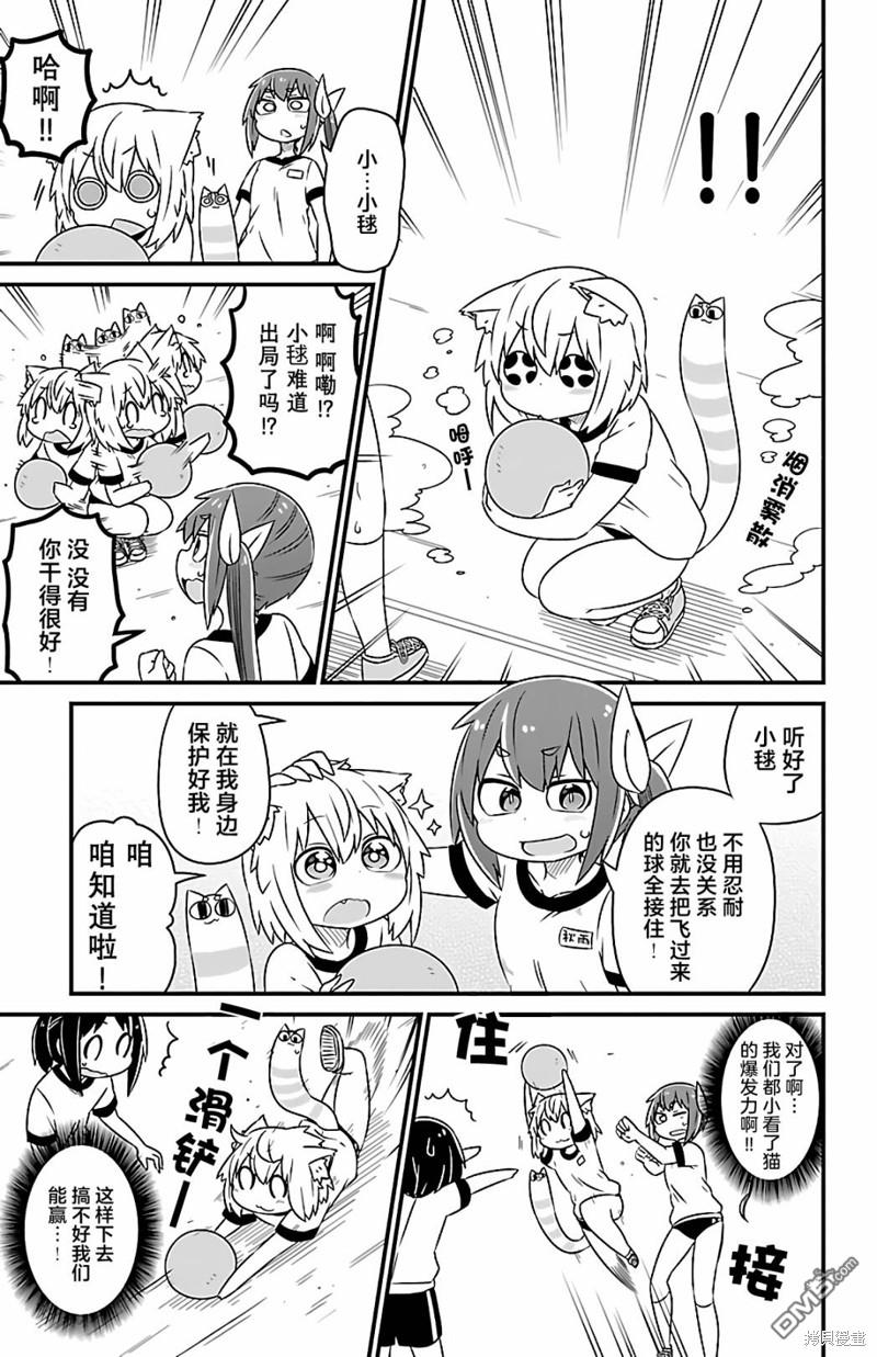猫神逗猫草！ 第31话 第5页