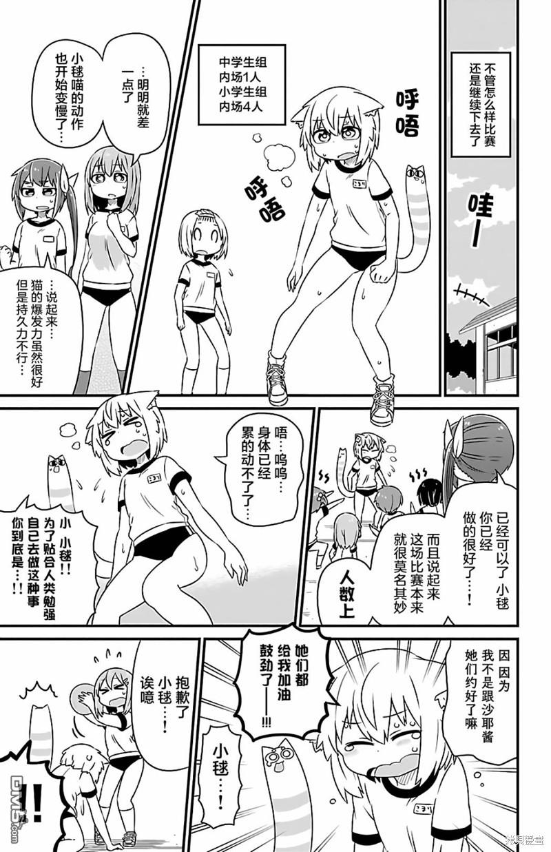 猫神逗猫草！ 第31话 第7页