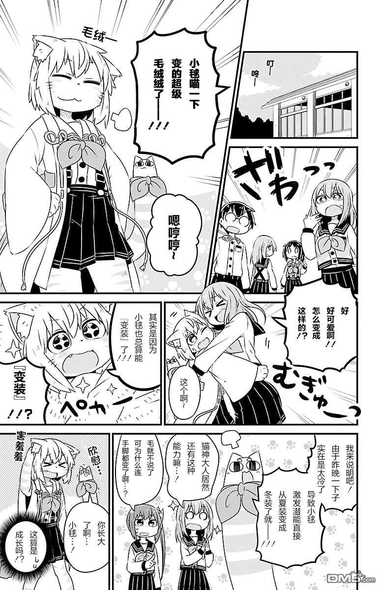 猫神逗猫草！ 第32话 第3页