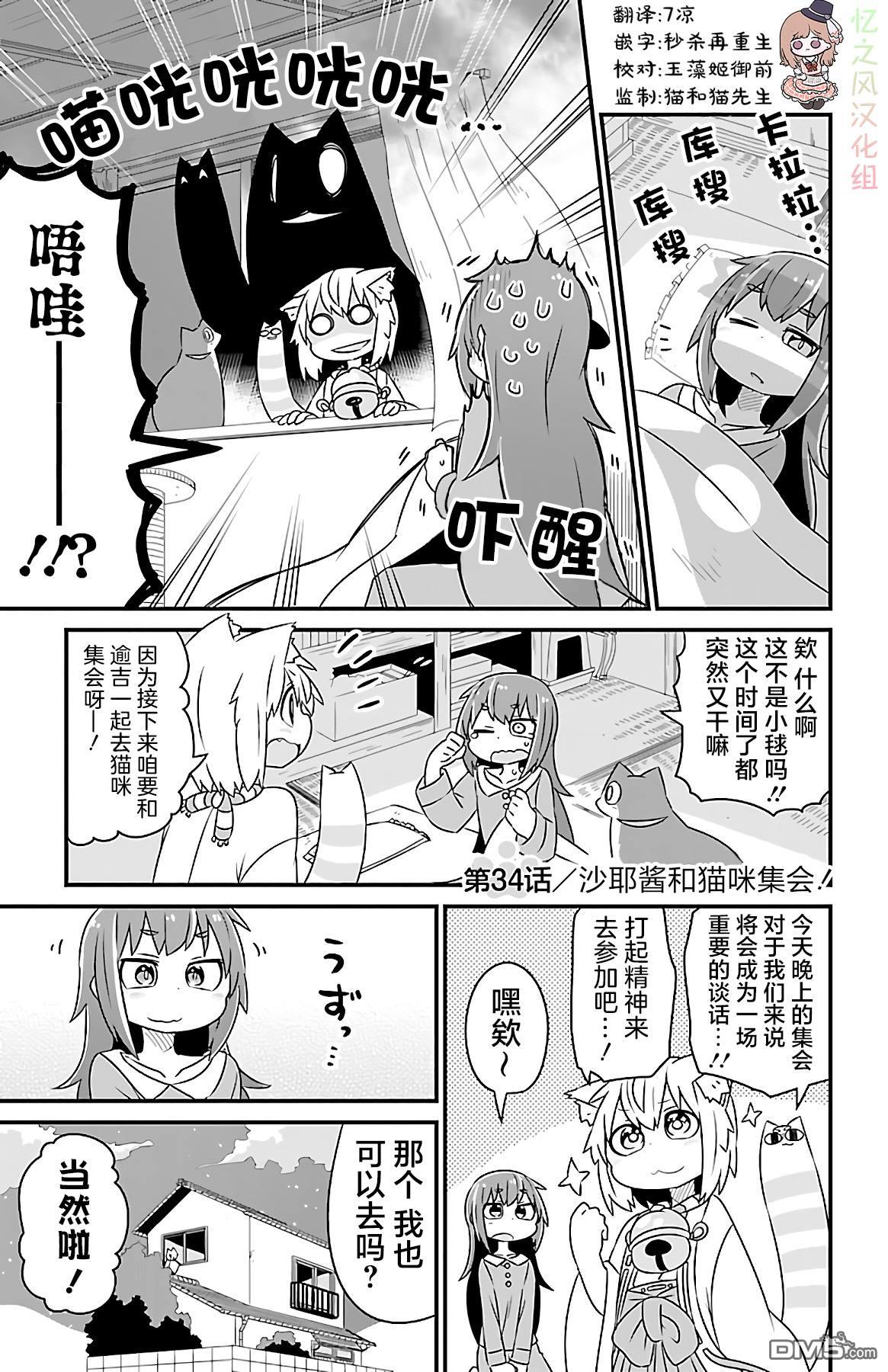 猫神逗猫草！ 第34话 第1页