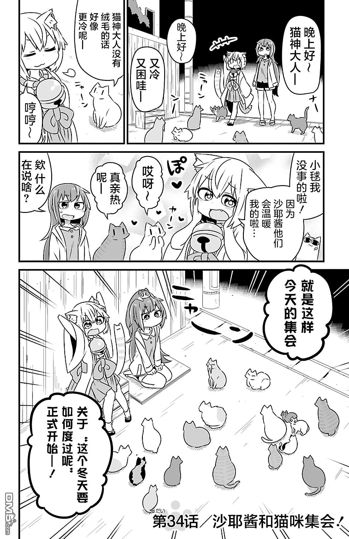 猫神逗猫草！ 第34话 第2页