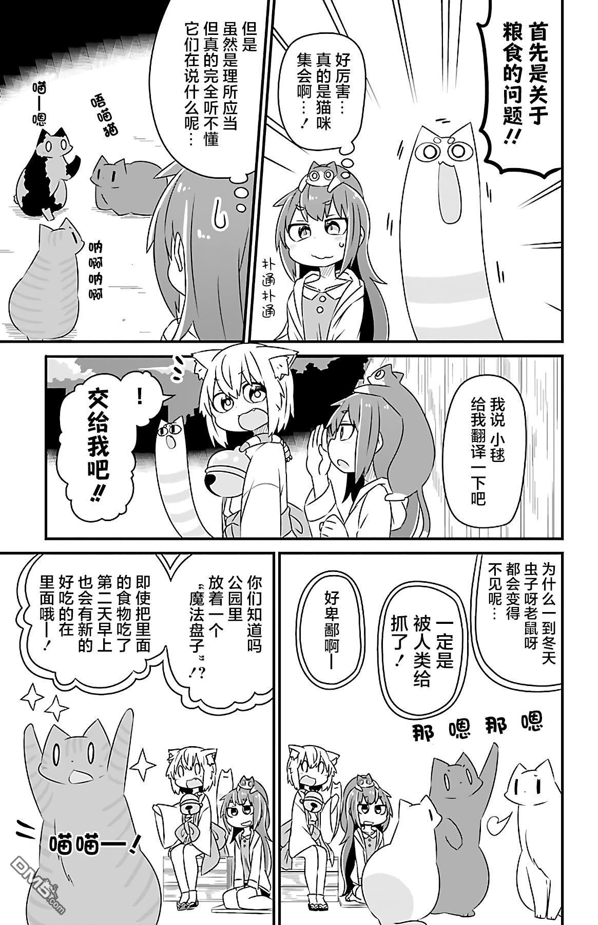 猫神逗猫草！ 第34话 第3页