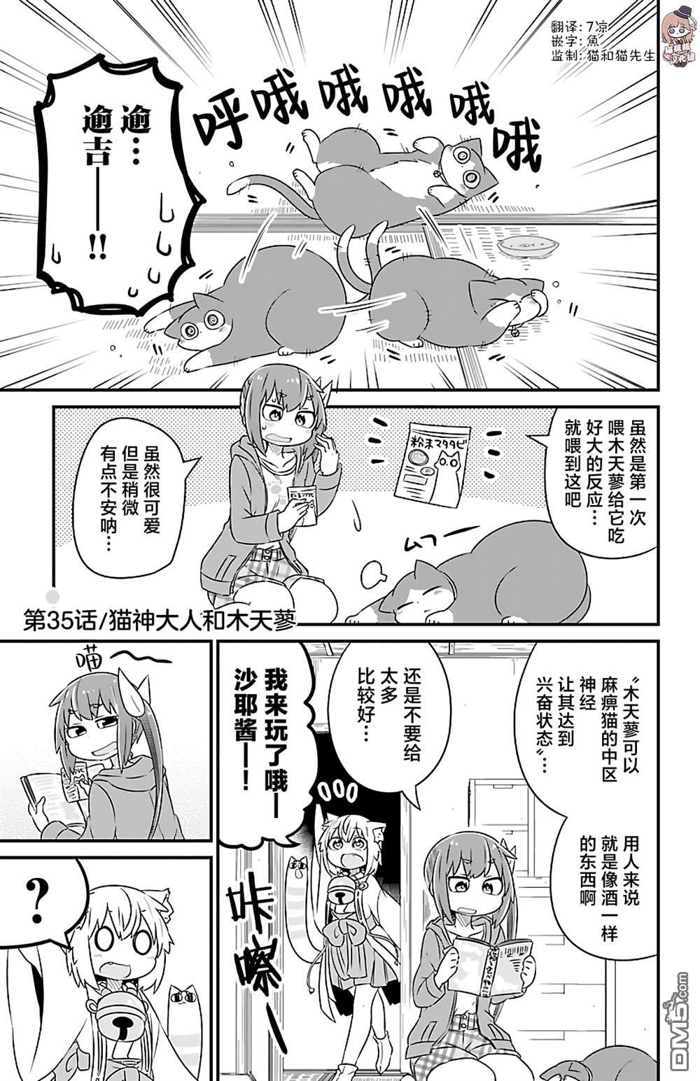 猫神逗猫草！ 第35话 第1页