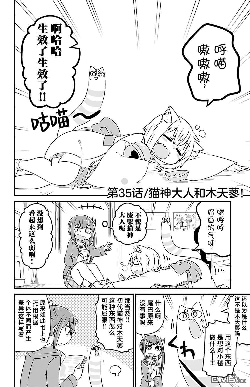 猫神逗猫草！ 第35话 第2页