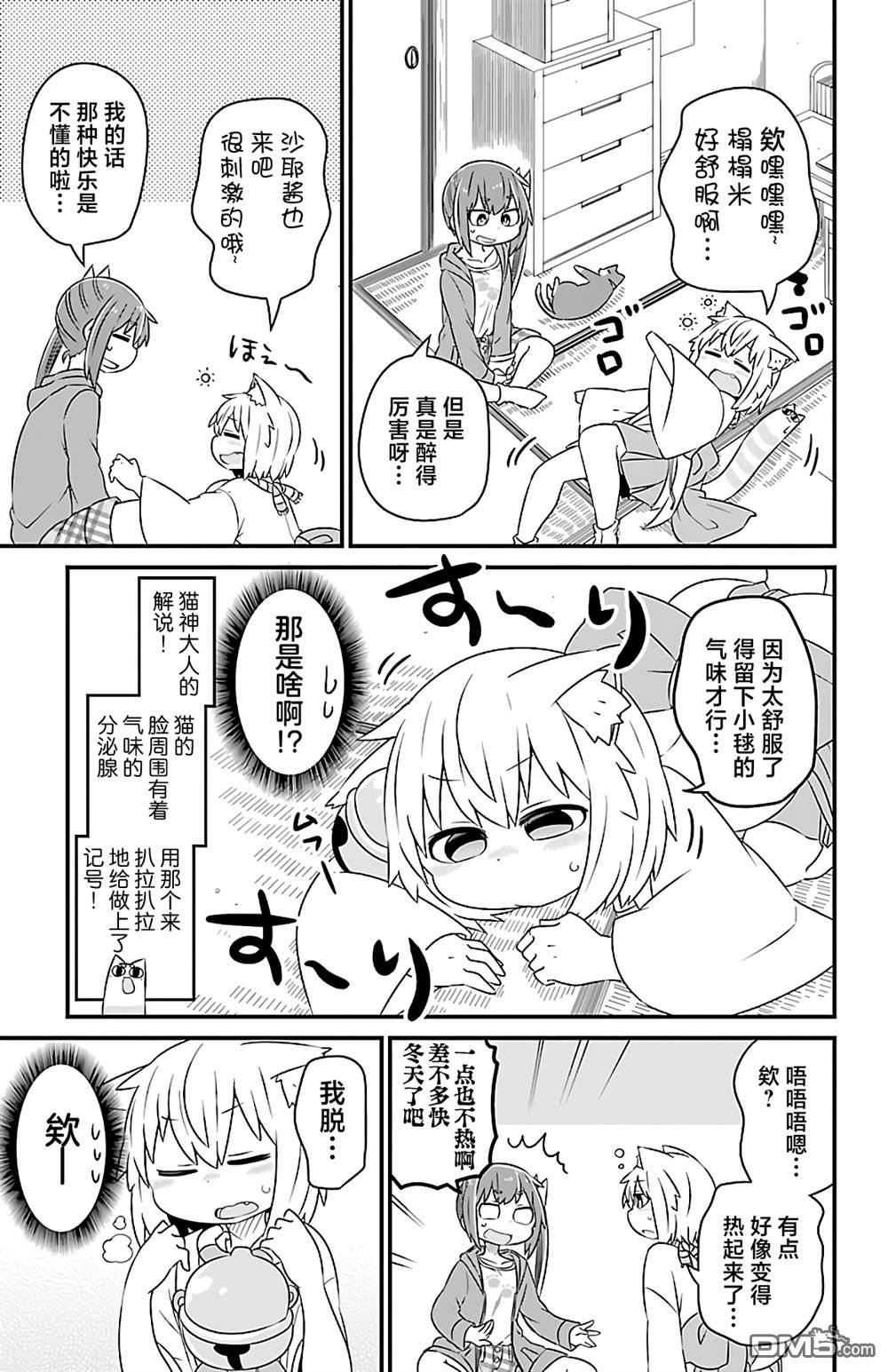 猫神逗猫草！ 第35话 第3页